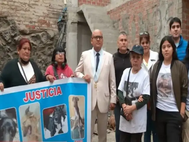 Exhumarán restos de perros envenenados en SJL: investigación podría sentar precedente legal