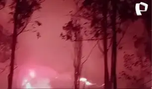 Incendios forestales en Amazonas afectan más de 10 mil hectáreas: serían provocados por “costumbres ancestrales”