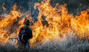 Bolivia declara emergencia nacional por incendios forestales