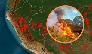 Incendios forestales: Indeci señala que no necesitamos apoyo internacional para sofocar siniestros