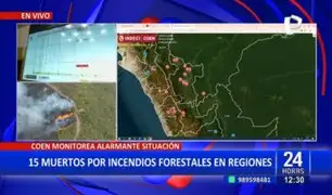 Incendios forestales en Perú: 15 fallecidos y 98 heridos en lo que va del año