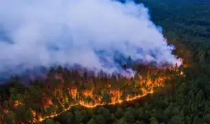 Incendios forestales: Gobierno declara en estado de emergencia a Amazonas, San Martín y Ucayali