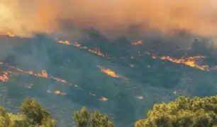 Incendios forestales: según Unicef más de 300 colegios están en riesgo de ser afectados por el fuego