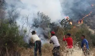 Incendios forestales: ministro del Ambiente asegura que se ha “respondido de forma eficiente”