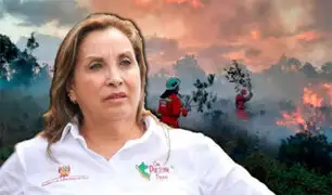 Gobierno propone penas de hasta 10 años para responsables de incendios forestales