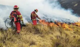 Incendios forestales en el Perú: Minsa revela que se han registrado 15 muertos