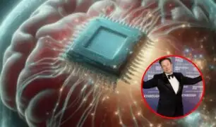 FDA le da el visto bueno: chip cerebral de Elon Musk busca curar la ceguera