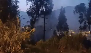 Incendios forestales en Chaclacayo: vecinos piden ayuda para evitar que fuego siga extendiéndose