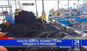 Veda de pejerrey, bonito y jurel afecta a pescadores en Pisco