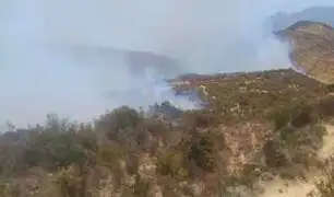 Incendio forestal en Huancavelica: agricultores preocupados por siniestro que arrasa sus cultivos