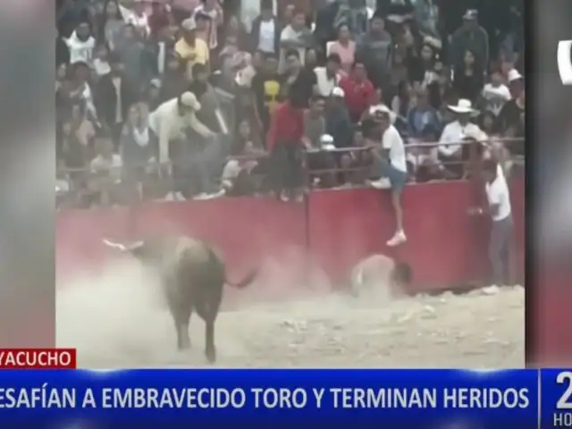 Ayacucho: personas en estado de ebriedad desafían a un toro duranta un ruedo