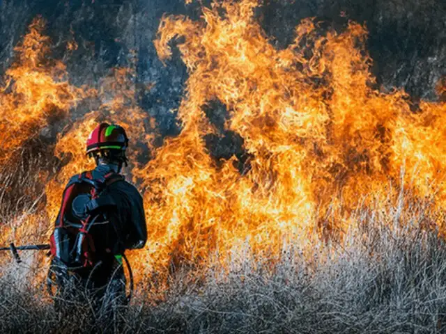 Bolivia declara emergencia nacional por incendios forestales