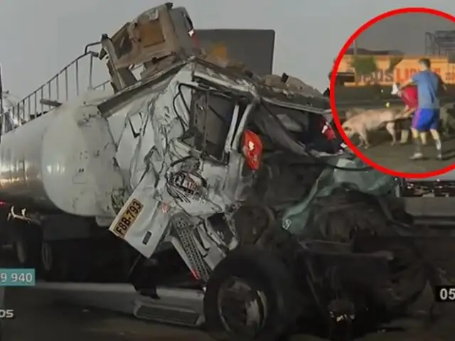 Caos por accidente en la Panamericana Sur: choque entre camión de cerdos y cisterna bloquea vía