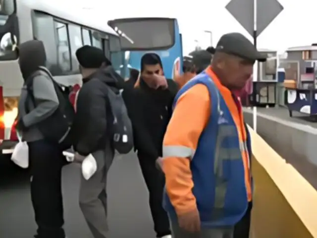 Intenso tráfico a la altura de puente Alipio Ponce tras choque entre camión de cerdos y cisterna en la Panamericana Sur