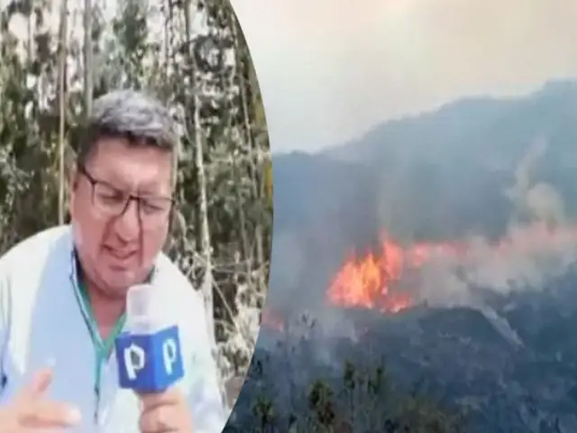 Incendios forestales arrasan Amazonas: reportero pide entre lágrimas rápida intervención del Estado