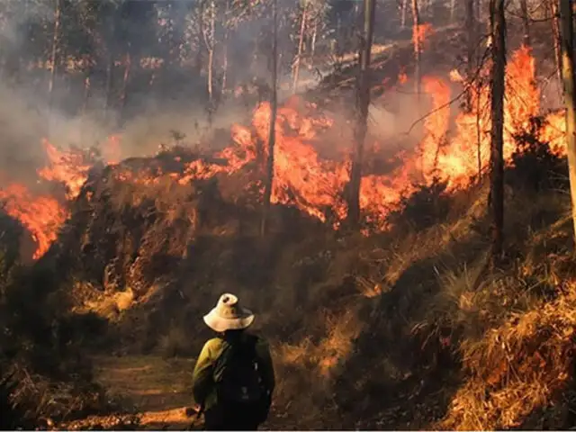 Incendios forestales: Defensoría solicita al Ejecutivo declarar en emergencia regiones afectadas