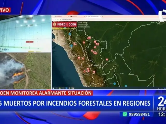 Incendios forestales en Perú: 15 fallecidos y 98 heridos en lo que va del año