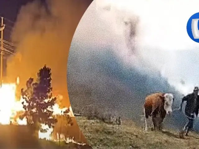 Incendios forestales: advierten protestas ante escasa ayuda de las autoridades