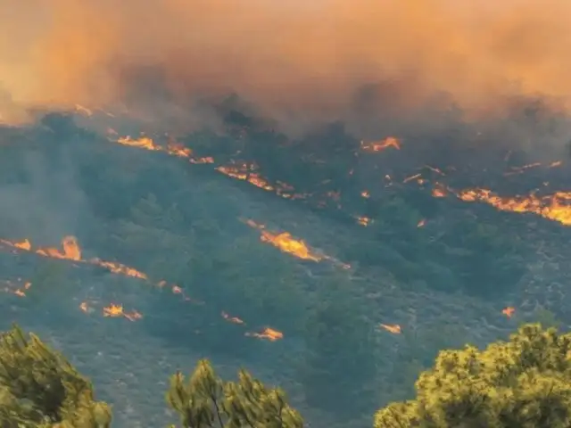 Congreso: citan a ministros de Defensa, Agricultura y Ambiente por incendios forestales en el país