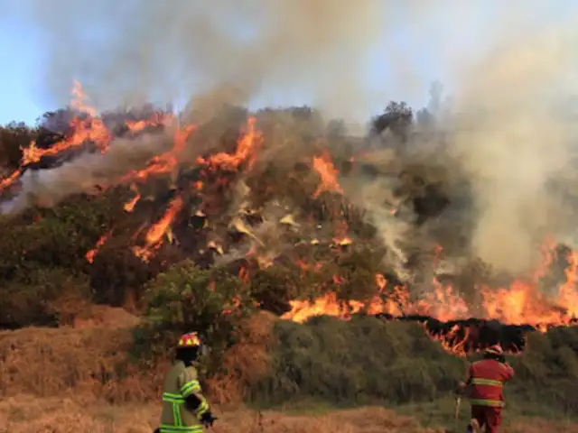 Junín: incendio forestal destruye 50 hectáreas de bosque en comunidad nativa