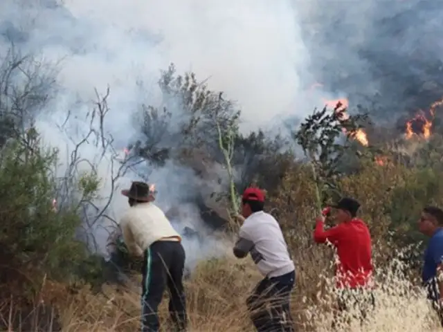 Incendios forestales: ministro del Ambiente asegura que se ha “respondido de forma eficiente”