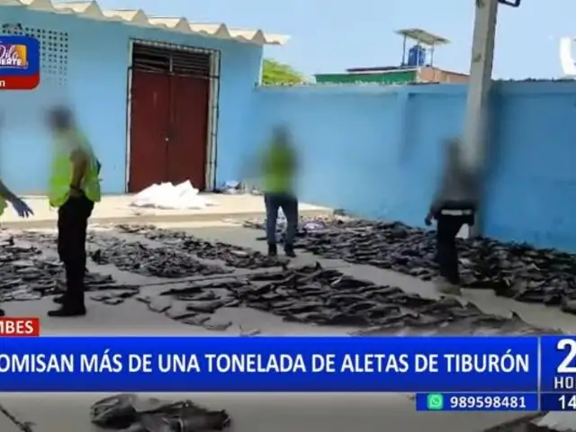 Tumbes: Incautan más de una tonelada de aletas de tiburón