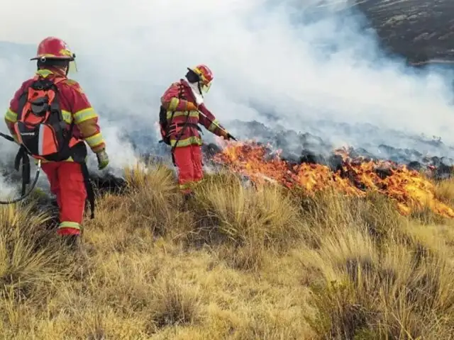 Incendios forestales en el Perú: Minsa revela que se han registrado 15 muertos