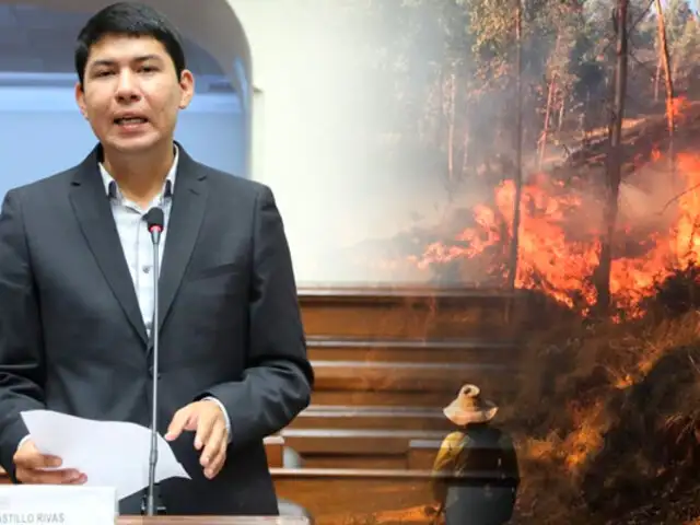 Congreso: presidente de Comisión Agraria califica como “indígnate” respuesta del Gobierno ante incendios forestales