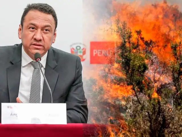 Ministro de Agricultura sobre incendios forestales: “Probablemente continúen hasta octubre”