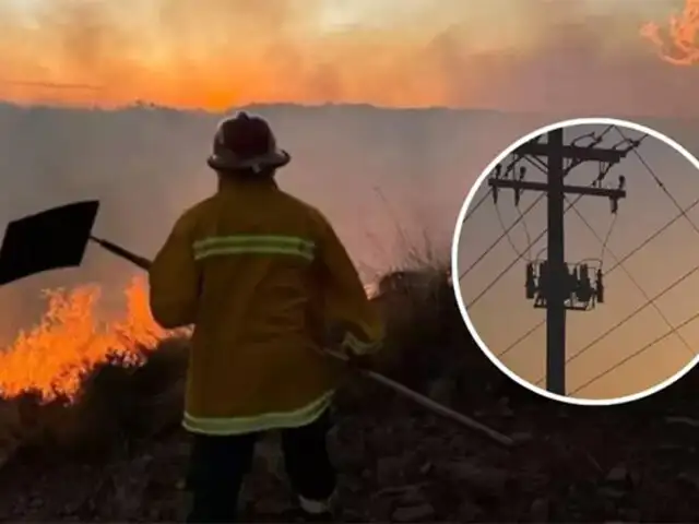 Incendios forestales: más de 50 mil personas se quedaron sin electricidad en distintas regiones