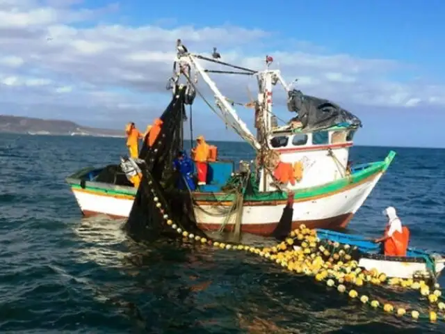 Produce sobre escasez de la pota: Fue afectada por el Fenómeno de “El Niño”