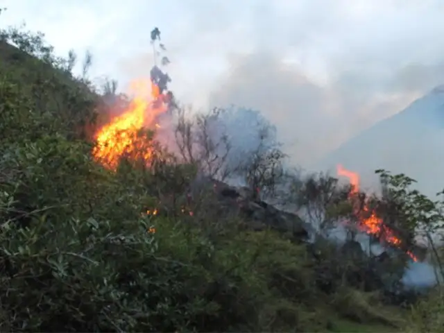 Incendios forestales: las próximas semanas comenzarán a entregar bonos a damnificados por siniestros