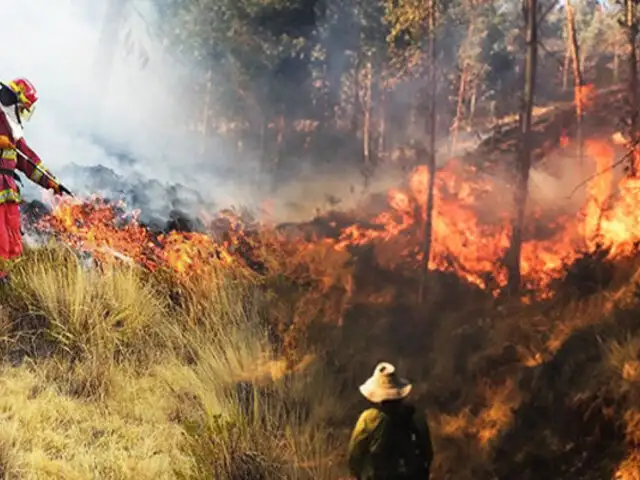 Estado de Emergencia: ¿Cuál es la verdad detrás de los incendios forestales en nuestro país?