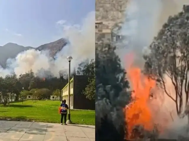 Incendio forestal en Lima: bomberos luchan para evitar que las llamas alcancen un colegio