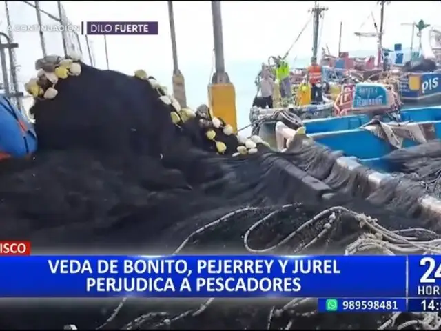 Veda de pejerrey, bonito y jurel afecta a pescadores en Pisco