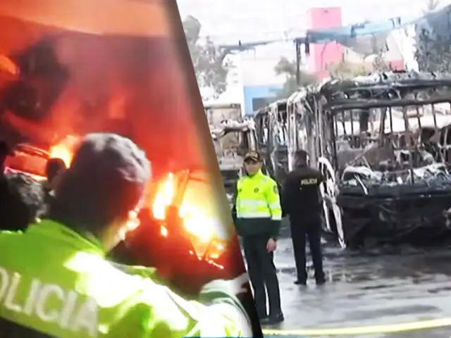 Incendio consume 25 buses de transporte público: Las causas son materia de investigación