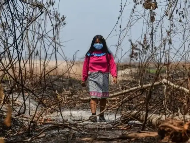 Incendios forestales y sequías en Perú: Más de 160 mil menores en riesgo crítico