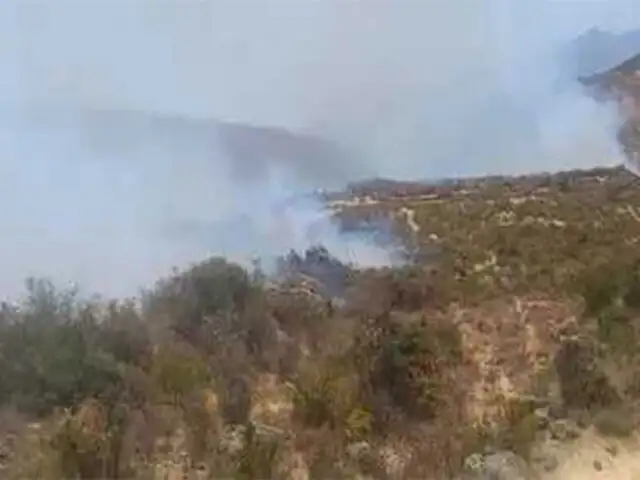 Incendio forestal en Huancavelica: agricultores preocupados por siniestro que arrasa sus cultivos