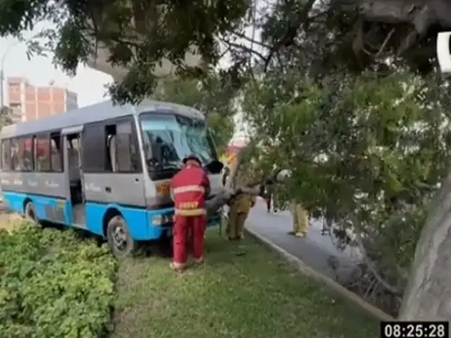 Cúster fuera de control choca contra árbol y deja seis heridos en San Juan de Lurigancho