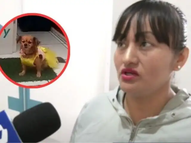 Administradora de spa acusa a trabajadora de llevarse a su perrita: “ella alega que no le he querido pagar”