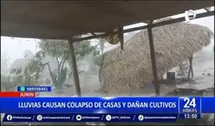 Junín: Lluvias causan colapso de casas y dañan cultivos