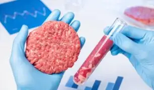 Abren la primera planta industrial de "carne artificial" del mundo: ¿Cómo elaboran este producto?