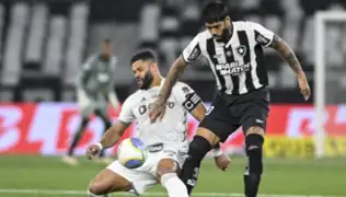 Botafogo y Atlético Mineiro disputarán la gran final de la Copa Libertadores 2024