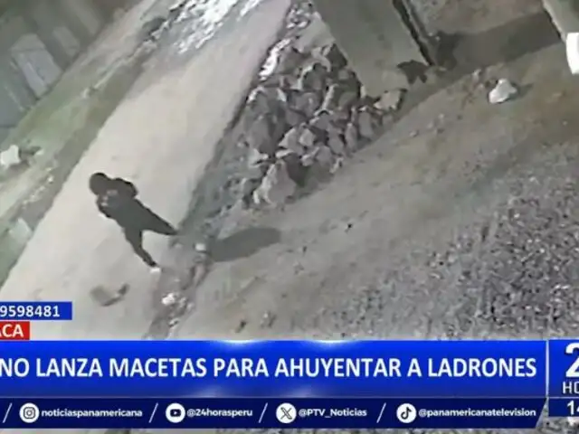 Juliaca: Vecino lanza macetas para ahuyentar a delincuentes