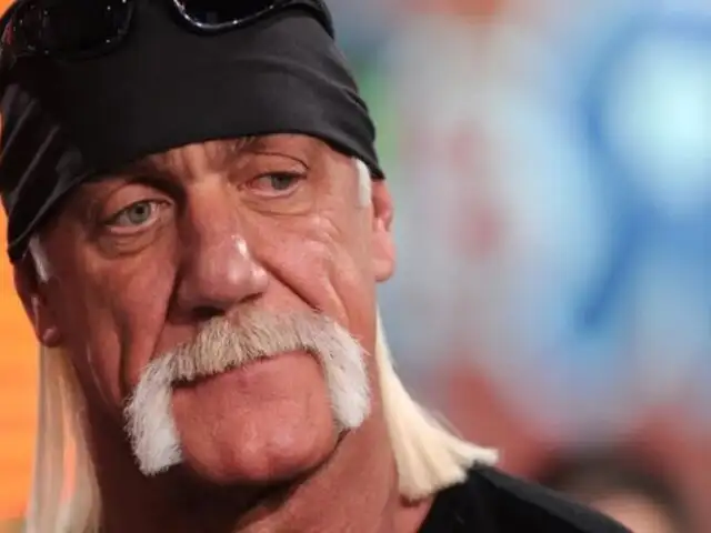 Hulk Hogan admite haber frenado la creación de un sindicato de luchadores en WWE