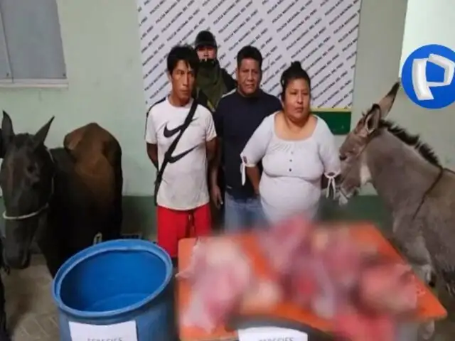 Desmantelan banda que vendía carne de perro, burro y caballo en mercados de Sullana