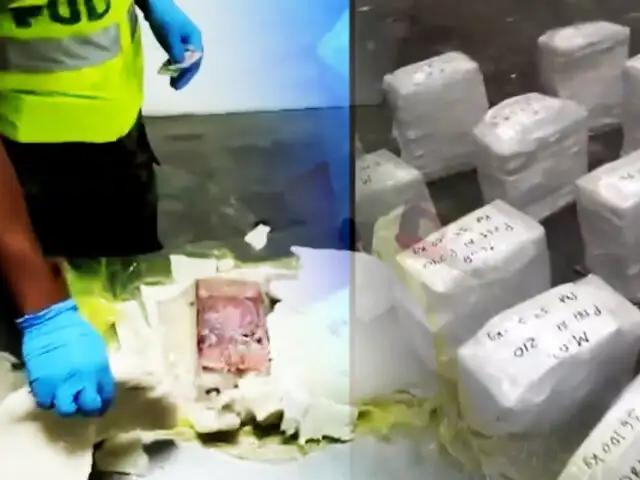 ¡Exclusivo! Pota peruana como camuflaje para cocaína: narcotraficantes usan escaso recurso marino