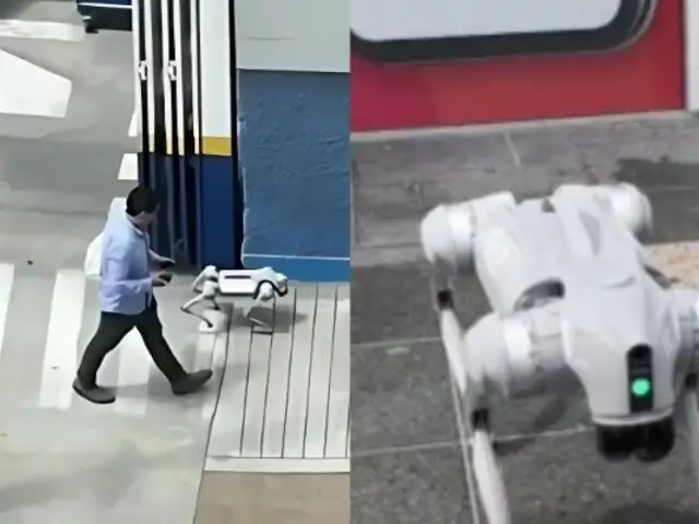 Joven se hace viral tras pasear a su perro robot en Comas: ¿cuánto cuestan?