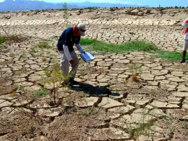 Crisis de agua en Piura: solicitan declarar en emergencia sector agricultura