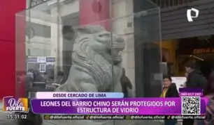 Leones del Barrio Chino serán protegidos con estructuras de vidrio